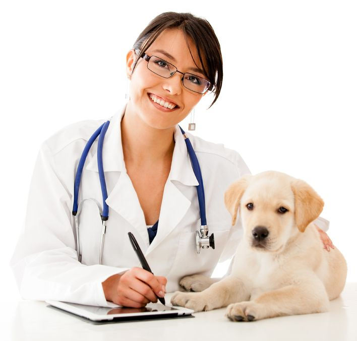 Dr. Bala Krishnan , Veterinary Medicine , Vellimadukunnu, Kozhikkode, Kerala, India Dr. Bala Krishnan , Veterinary Medicine , Vellimadukunnu, Kozhikkode, Kerala, India
