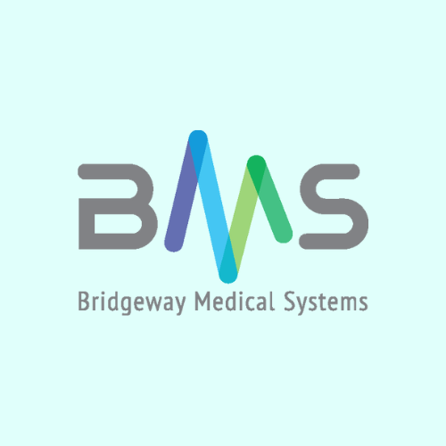 Bridgeway Medial Systems